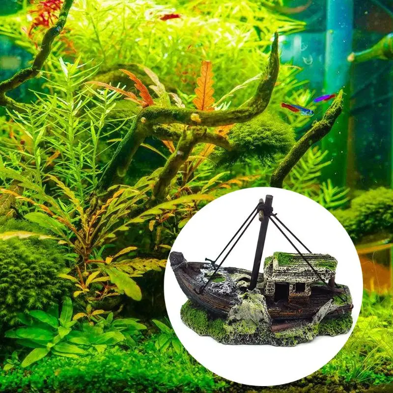 Vue rapprochée de l'épave de bateau en aquarium